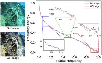 A learnable full-frequency transformer dual generative adversarial network for underwater image enhancement